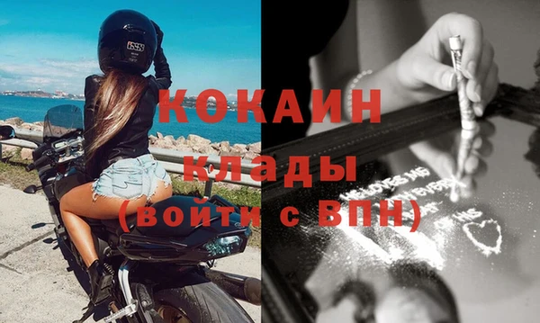 винт Алзамай
