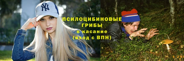 мяу мяу мука Алексеевка