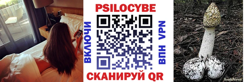 закладки  Чердынь  гидра зеркало  Псилоцибиновые грибы мухоморы 